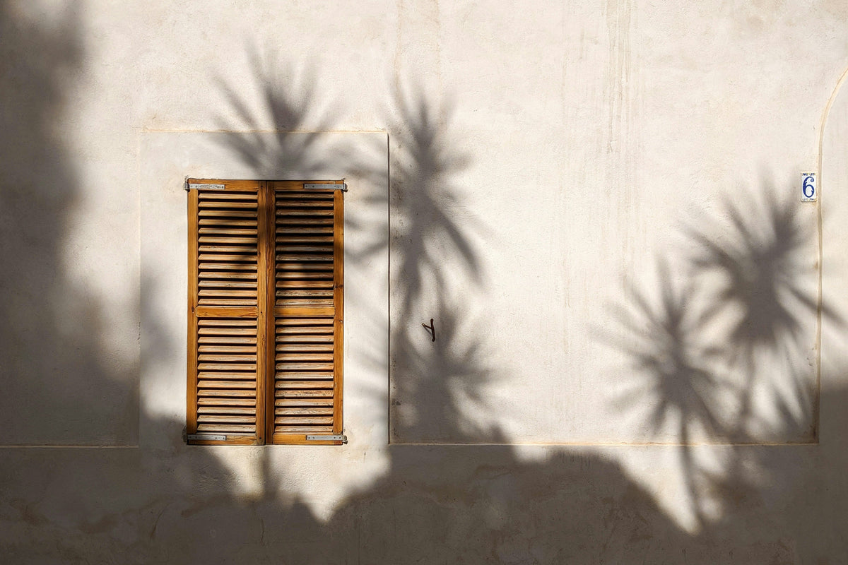 Palm tree shadows cast against a white house with a wooden window on a sunny day