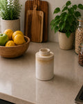 Kitchen counter with a vase, bowl of fruit, and potted plants.